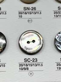 SC23 天然素材 貝製 表穴2つ穴 つや有りボタン アイリス サブ画像