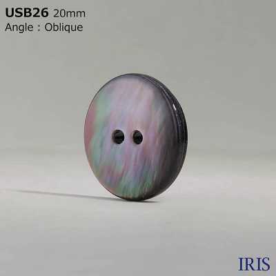 USB26 天然素材 染色 黒蝶貝製 表穴2つ穴 つや有りボタン アイリス サブ画像