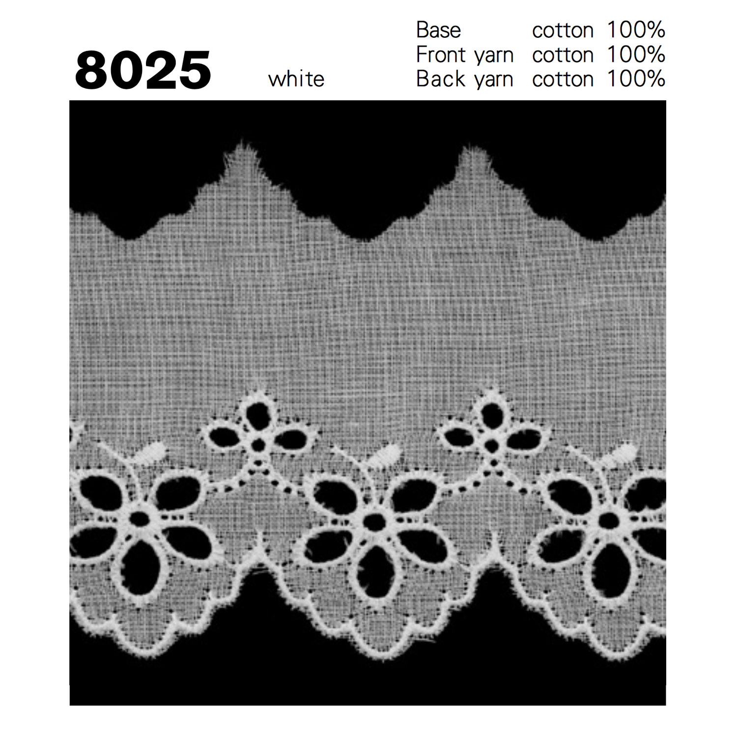 8025 綿レース細巾 協和レース