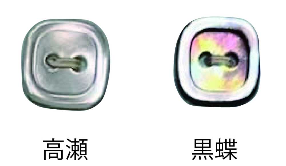 4002H 2つ穴 縁あり 貝ボタン トモイ