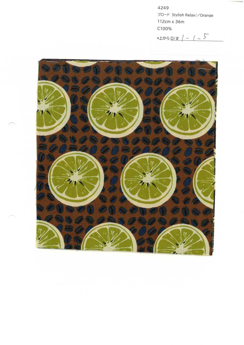 4249 SEVENBERRY®  ブロード Stylish Relax / Orange[生地] VANCET