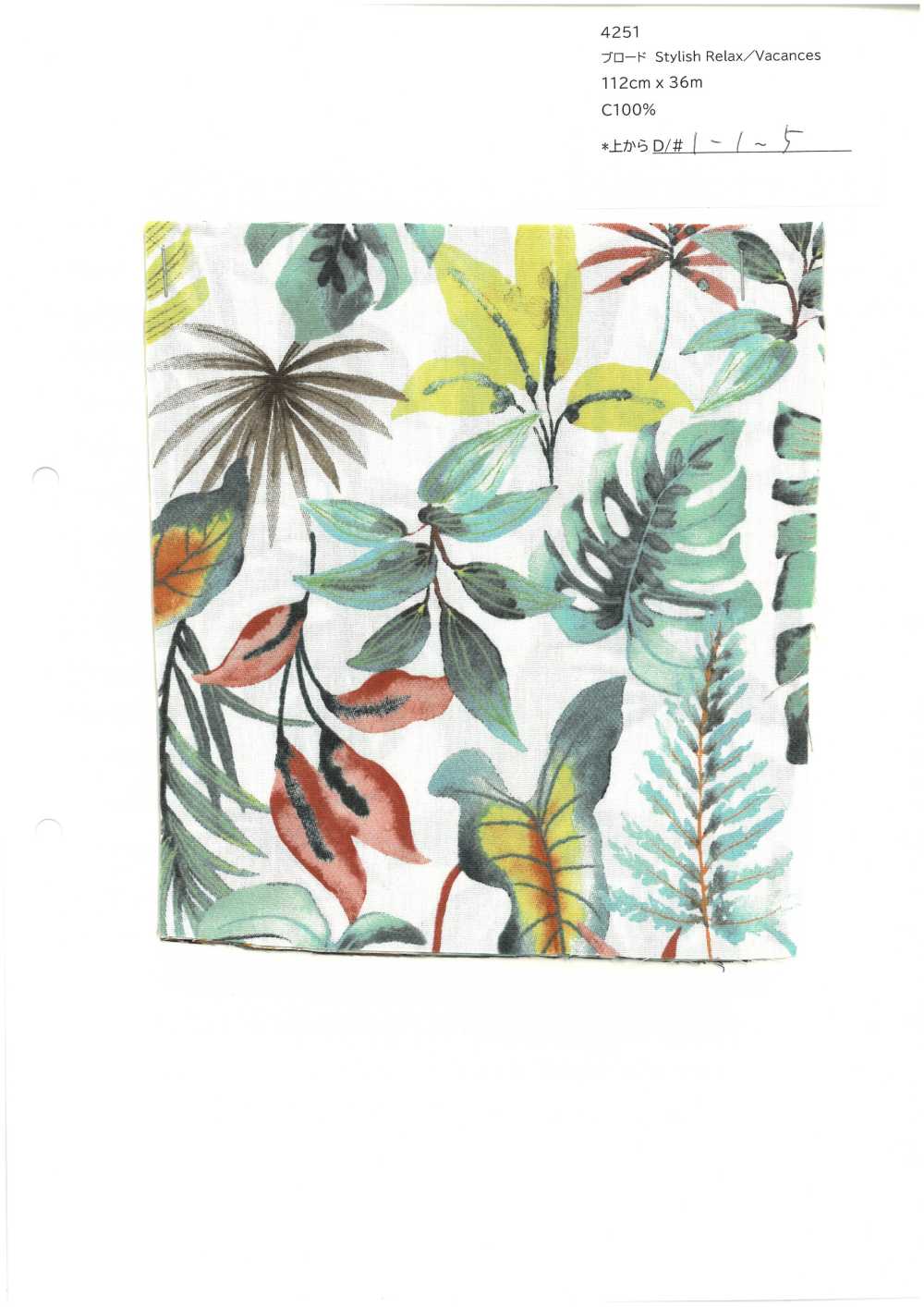 4251 SEVENBERRY®  ブロード Stylish Relax / Vacances[生地] VANCET