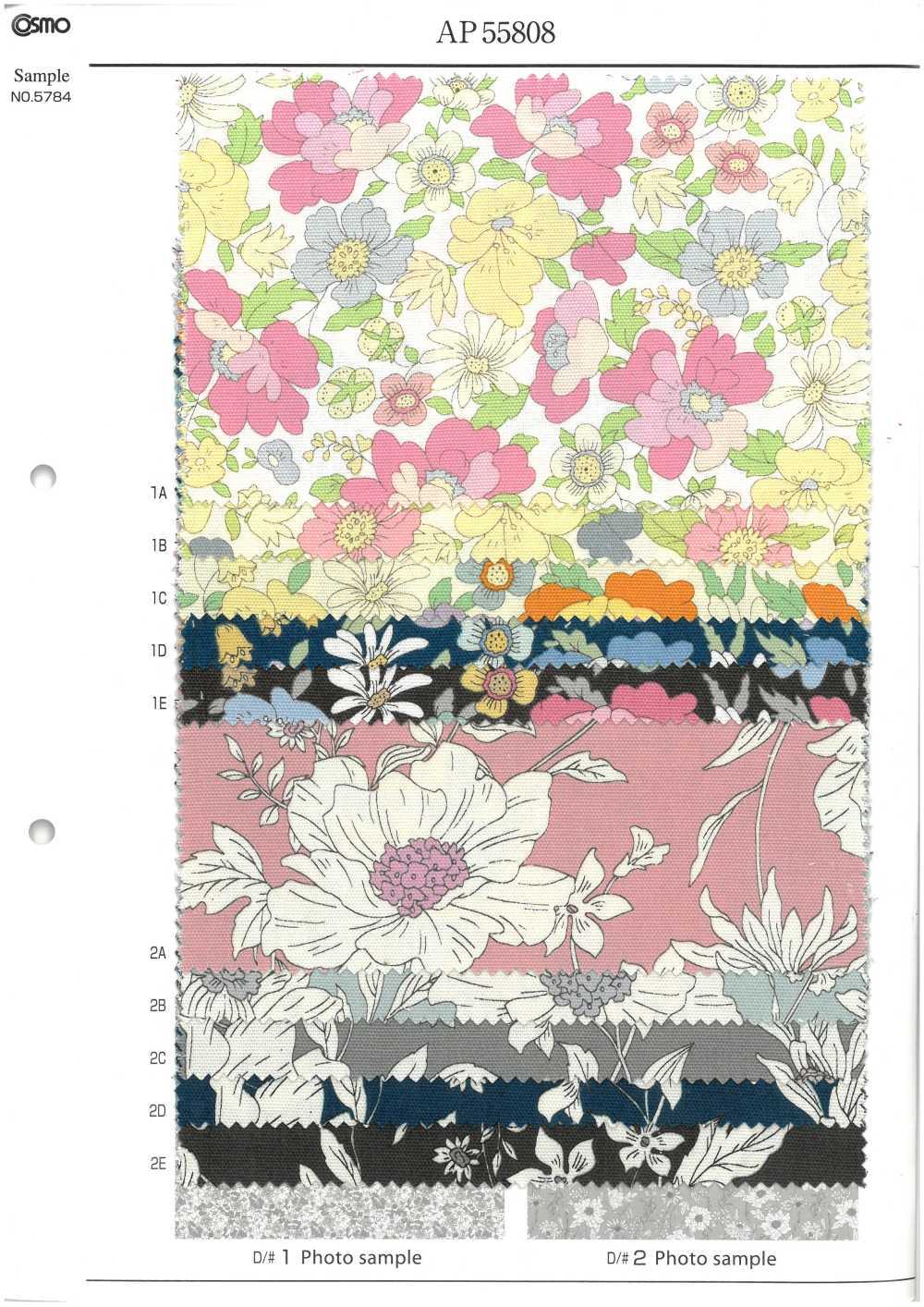 AP55808 エッセンシャルグレース2 オックス(丸巻)[生地] コスモテキスタイル