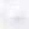 ホワイト