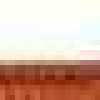 オレンジ オレンジ