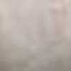 PN