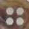43