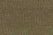 ブラウンカーキ