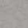 BGR4