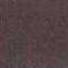 シャーク シャーク