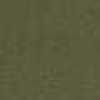 OLIVE OLIVE