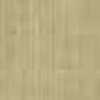 ベージュ ベージュ