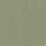 OLIVE OLIVE