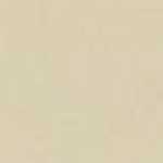 BEIGE BEIGE