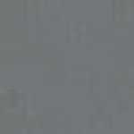 GRAY GRAY