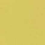 LIME YELLOW LIME YELLOW