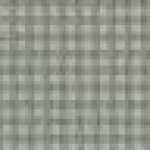 GRAY GRAY