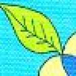 サックス サックス