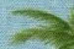 Palmtree-サックス Palmtree-サックス