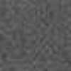 GREY GREY