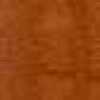 スパイスオレンジ スパイスオレンジ