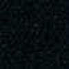 NAVY NAVY