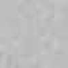 GRAY GRAY
