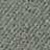 GRAY GRAY