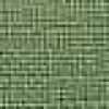 オリーブ オリーブ