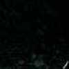 BLACK BLACK