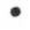 ミズタマショウ－クロ
