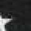 スター-ブラック スター-ブラック