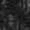 ブラック ブラック