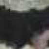 black black