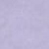 L.PURPLE L.PURPLE