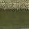 モスグリーン モスグリーン