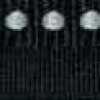 ブラック ブラック
