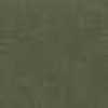OLIVE OLIVE