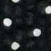 BLACK BLACK