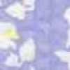 ライラック ライラック