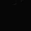 黒