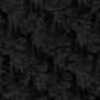 ブラック ブラック