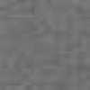 GRAY GRAY