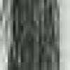 293