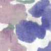 violet pink