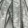 モノクロ モノクロ