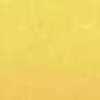 ヤマブキ