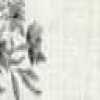 ナチュラル×モノトーン