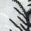 ホワイト×ブラック ホワイト×ブラック