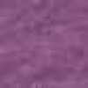 ラズベリー ラズベリー